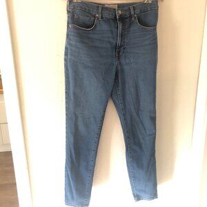 Everlane Highrise Skinny Medium Wash Denim